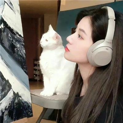 卧虎藏龙
