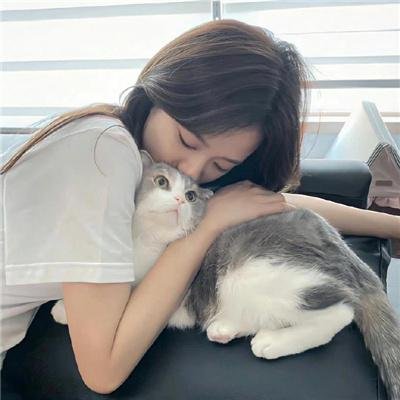 陌生人的旋律
